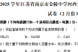 江苏省南京市金陵中学河西分校2024-2025学年九年级下学期2月份月考化学试卷（含解析）