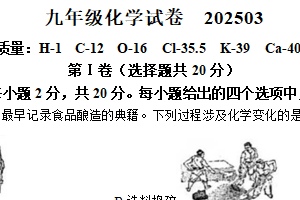 江苏省南通市海安市初中十三校教学研究同盟联考2024-2025学年九年级下学期3月月考化学试题（含答案）