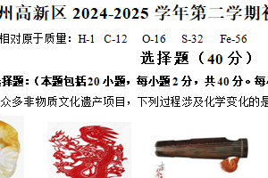 江苏省苏州市高新区2024-2025学年九年级下学期3月月考化学试卷（含答案）