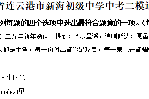 2025年江苏省连云港市新海初级中学中考二模道德与法治试题（含解析）