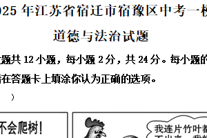 2025年江苏省宿迁市宿豫区中考一模道德与法治试题（含解析）