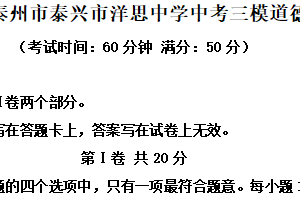 2025年江苏省泰州市泰兴市洋思中学中考三模道德与法治试题（含解析）