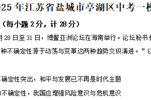 2025年江苏省盐城市亭湖区中考一模道德与法治试题（含解析）