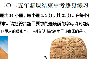 2025年江苏省常州市溧阳市实验初级中学中考热身练习历史试题（含解析）