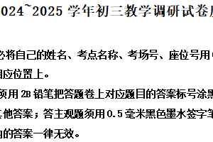 2025年江苏省苏州市工业园区中考模拟历史试题（含解析）