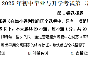 2025年江苏省盐城市滨海县中考二模历史试题（含解析）