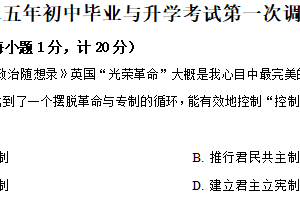 2025年江苏省盐城市大丰区中考一模历史试题（含解析）