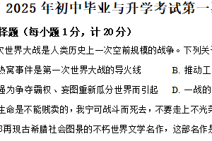 2025年江苏省盐城市亭湖区中考一模历史试题（含解析）