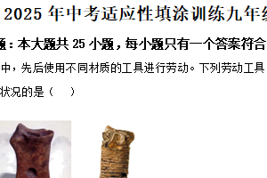 2025年江苏省镇江市丹徒区中考一模历史试题（含解析）