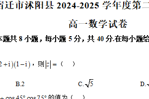 江苏省宿迁市沭阳县2024-2025学年高一下学期期中数学试卷（含答案）