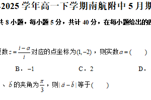 江苏省南京航空航天大学附属高级中学2024-2025学年高一下学期5月期中考试数学试卷（含解析）