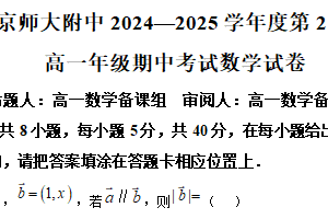 江苏省南京师范大学附属中学2024-2025学年高一下学期期中考试数学试卷（含解析）