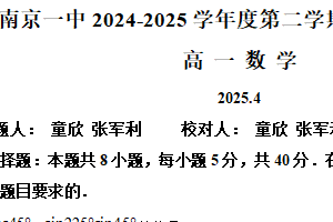 江苏省南京市第一中学2024-2025学年高一下学期期中考试数学试题（含解析）