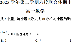 江苏省南京市六校联合体2024-2025学年高一下学期期中调研数学试卷（含解析）