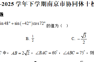 江苏省南京市协同体十校2024-2025学年高一下学期期中联合考试数学试卷（含解析）