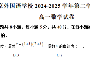 江苏省南京外国语学校2024-2025学年高一下学期期中考试数学试题（含解析）