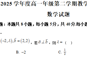江苏省南通市如皋市2024-2025学年高一下学期教学质量调研(二)期中数学试题（含解析）