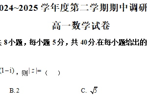 江苏省宿迁市沭阳华冲高级中学2024-2025学年高一下学期期中调研测试数学试卷（含解析）