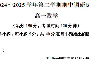 江苏省宿迁市泗阳县2024-2025学年高一下学期期中考试数学试卷（含解析）