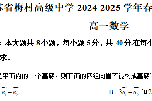 江苏省无锡市新吴区梅村高级中学2024-2025学年高一下学期期中考试数学试题（含解析）