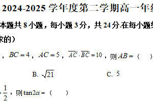 江苏省镇江市实验高级中学2024-2025学年高一下学期4月期中考试数学试题（含解析）