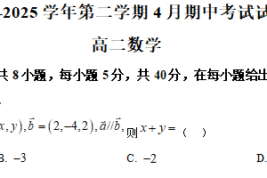 江苏省南京市雨花台中学2024-2025学年高二年级下学期期中考试数学试卷（含解析）
