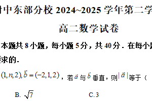 江苏省扬州市扬州大学附属中学东部分校2024-2025学年高二下学期4月期中考试数学试题（含解析）