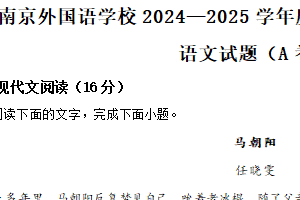 江苏省南京市外国语学校2024-2025学年高二下学期期中语文试题（含解析）