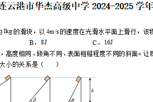 江苏省连云港市华杰高级中学2024-2025学年高一下学期期中考试物理试卷（含解析）
