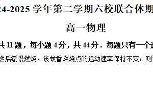 江苏省南京市六校联合体2024-2025学年高一下学期期中调研物理试卷（含解析）