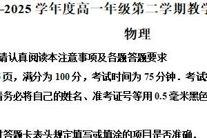 江苏省南通市如皋市2024-2025学年高一下学期期中物理试卷（含解析）