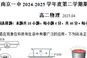 江苏省南京市第一中学2024-2025学年高二下学期期中考试物理试卷（含答案）