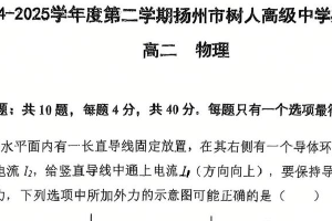 江苏省扬州市树人中学2024-2025学年高二下学期4月期中物理试卷（无答案）