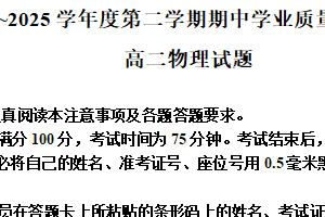 江苏省连云港市连云区连云港高级中学2024-2025学年高二下学期4月期中考试物理试题（含解析）