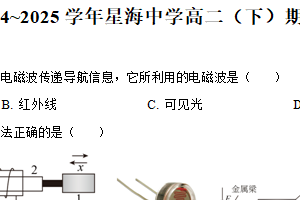 江苏省苏州市苏州工业园区星海实验高级中学2024-2025学年高二下学期期中物理试卷（含解析）