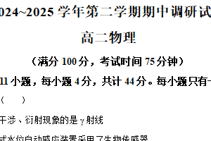 江苏省宿迁市泗阳县2024-2025学年高二下学期期中考试物理试卷（含解析）
