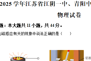 江苏省无锡市江阴一中、青阳中学2024-2025学年高二下学期期中考试物理试卷（含解析）