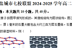 江苏省盐城市七校联盟2024-2025学年高二下学期4月期中物理试题（含解析）