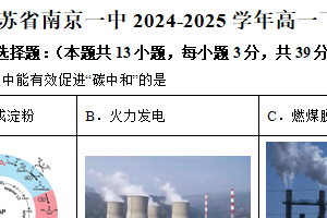 江苏省南京一中2024-2025学年高一下学期期中化学试卷（含解析）