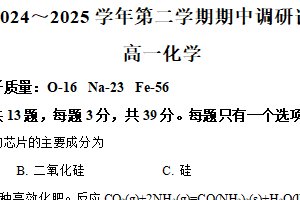 江苏省宿迁市泗阳县2024-2025学年高一下学期期中考试 化学试卷（含解析）