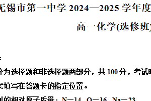 江苏省无锡市第一中学2024-2025学年高一下学期4月期中考试 化学试题（含解析）
