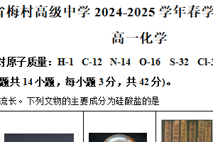 江苏省无锡市新吴区梅村高级中学2024-2025学年高一下学期期中考试化学试题（含解析）