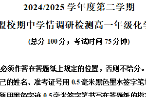 江苏省盐城市五校联考2024-2025学年高一下学期4月期中化学试题（含解析）