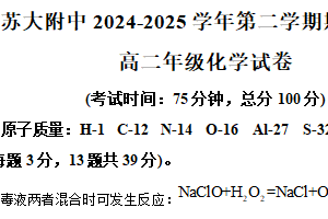 江苏省苏州市工业园区苏州大学附属中学2024-2025学年高二年级第二学期期中考试化学试题（含解析）