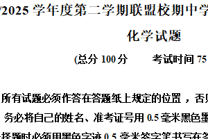 江苏省盐城市五校联考2024-2025学年高二下学期4月期中化学试题（含解析）