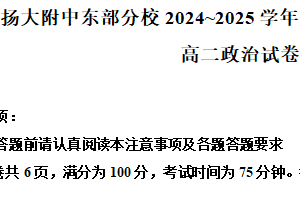 江苏省扬州市扬州大学附属中学东部分校2024-2025学年高二下学期4月期中考试政治试题（含解析）