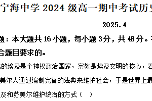 江苏省南京市宁海中学2024-2025学年高一下学期期中考试（美术班）历史试题（含解析）