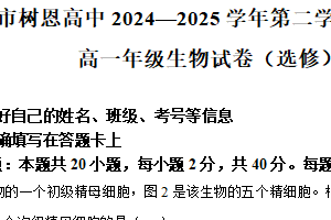 江苏省徐州市树恩高级中学2024-2025学年高一下学期中学情调研生物试题（含解析）