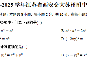 2024-2025学年江苏省西安交大苏州附中七年级（下）期中数学试卷（含答案）