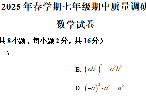 江苏省常州市金坛区2024—2025学年下学期七年级数学期中质量调研试卷（含解析）